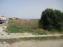 Lote Rio de Mouro