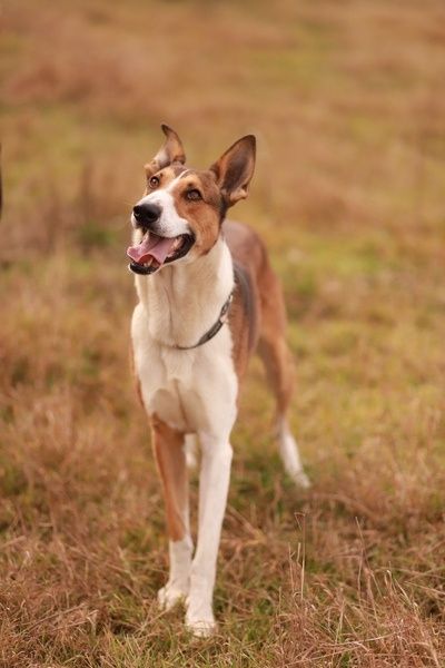 Czekam na uśmiech od losu, pozdrawiam Chester