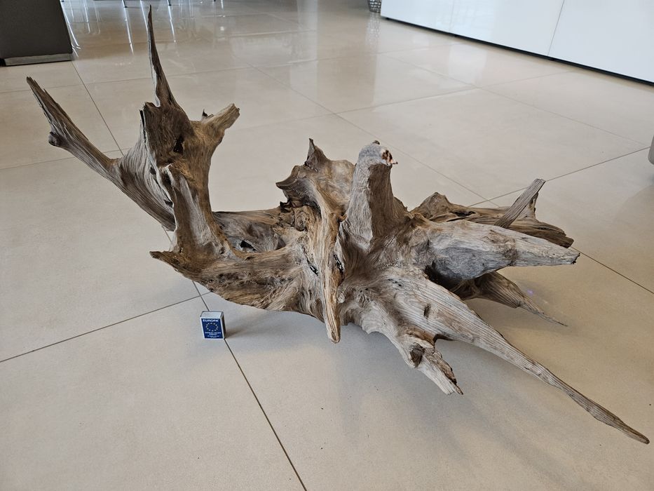 Duży korzeń do akwarium