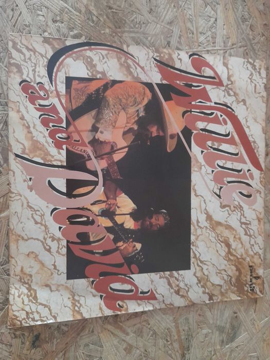 Willie Nelson and David Allan Coe Płyta Winylowa Pronit