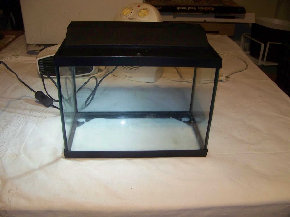 aquário de 15 lts com iluminação