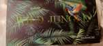 Paleta cieni wild jungle max&more