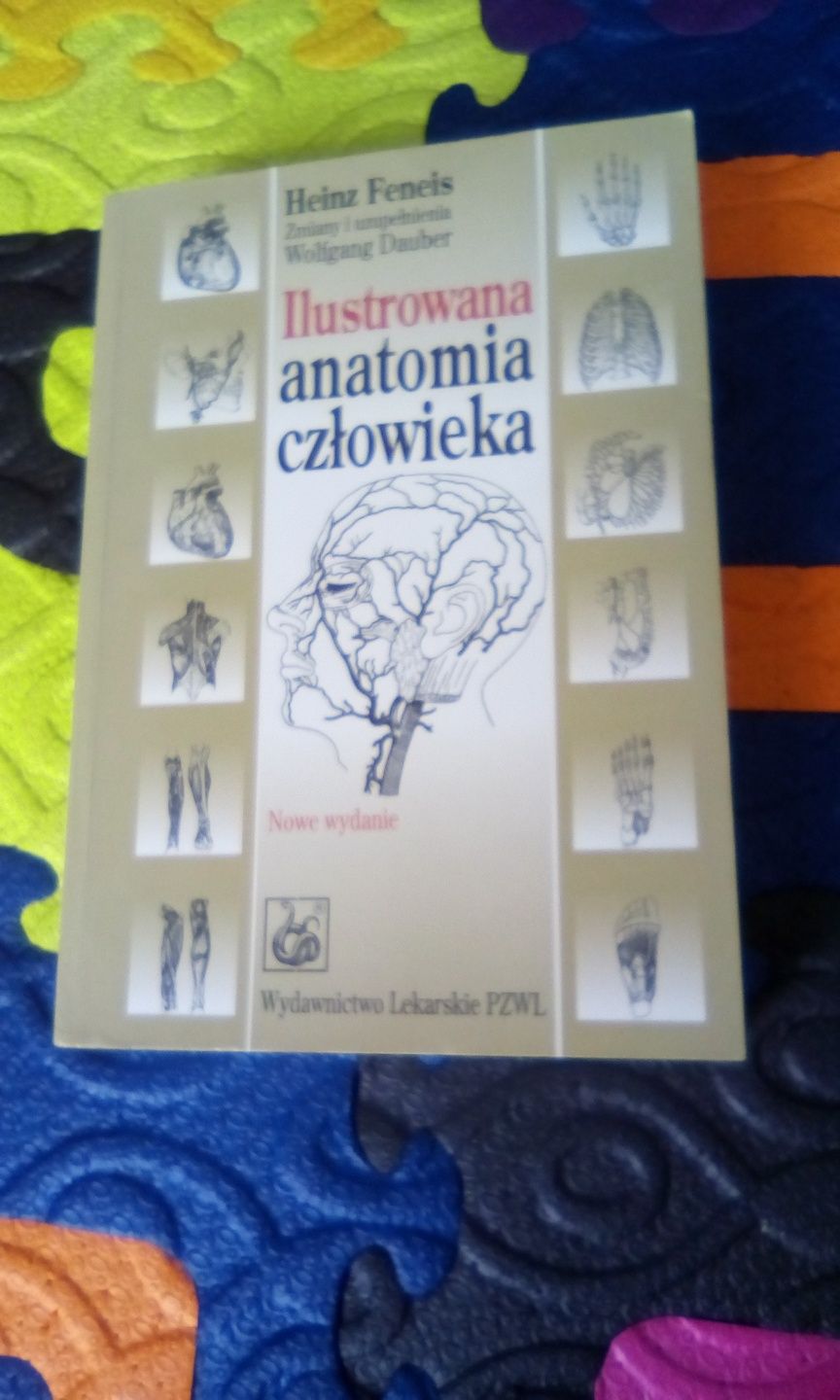 Ilustrowana anatomia człowieka Heinz Feneis