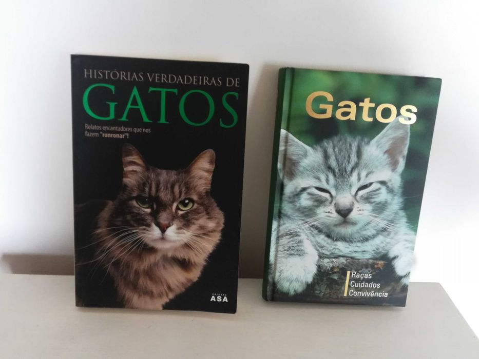 Livros baratos lote variado