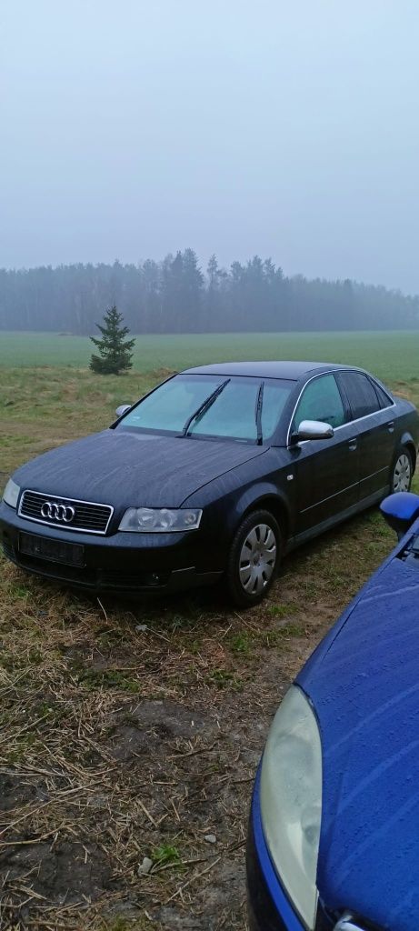 Audi a4 b6 Małysz 1.9tdi maska zderzak błotnik drzwi klapa silnik skrz