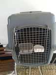 Transportadora portátil para cães