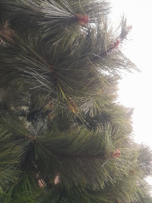 Sosna zielona choinka 190 cm jak prawdziwa