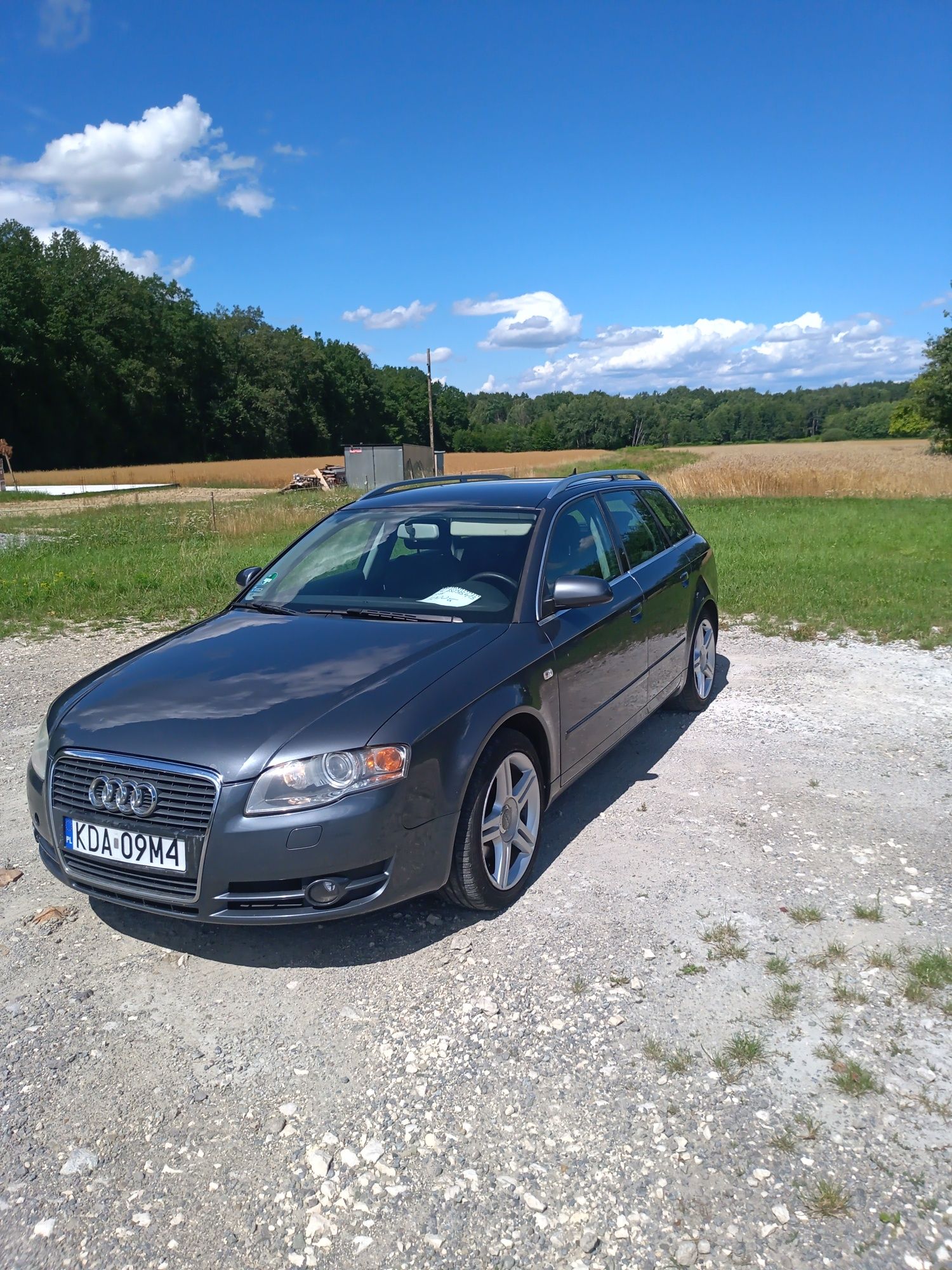 Audi a4 b7  combi