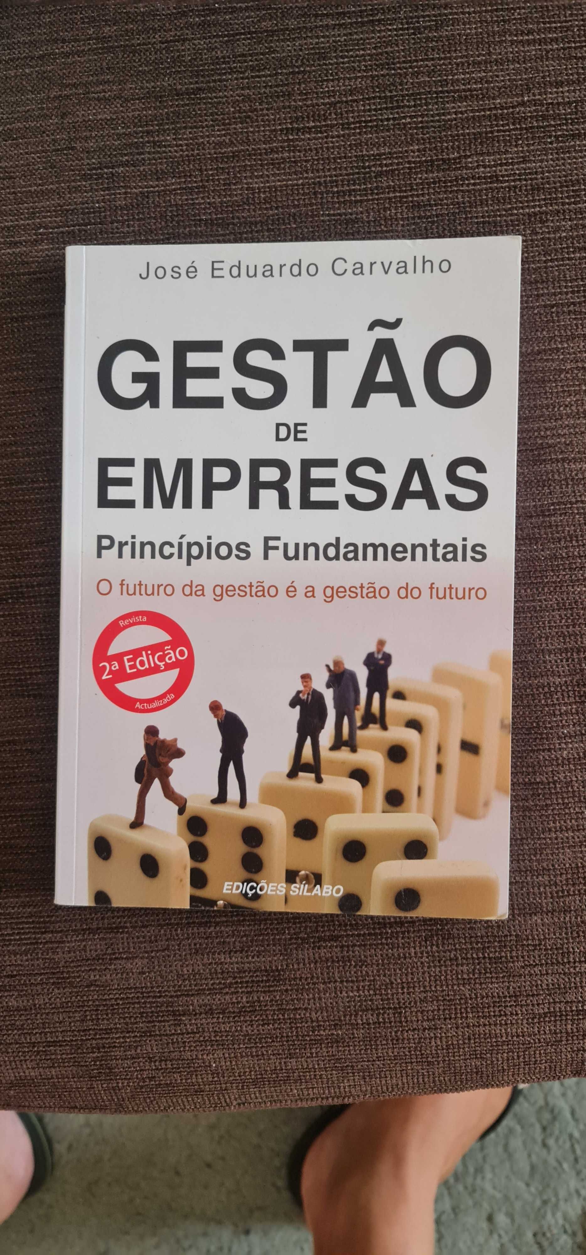 Gestão de empresas Principios fundamentais.