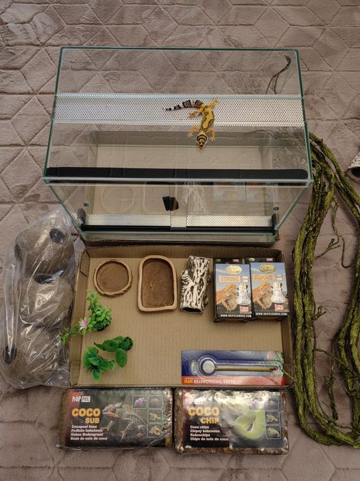 Terarium 50 40 30 litrów idealne dla żółwia gekona salamandry pająka w