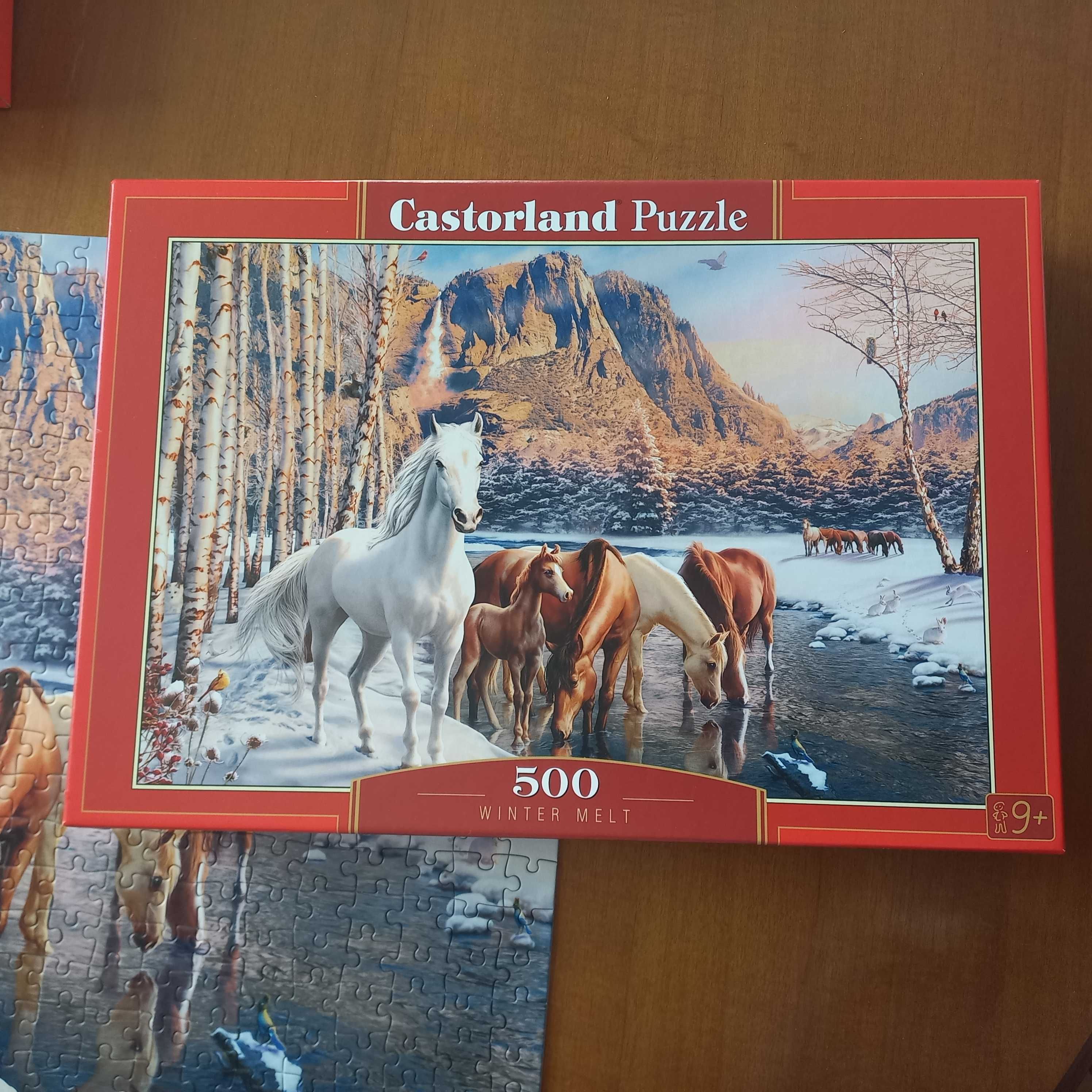 Puzzle 500 Castorland konie