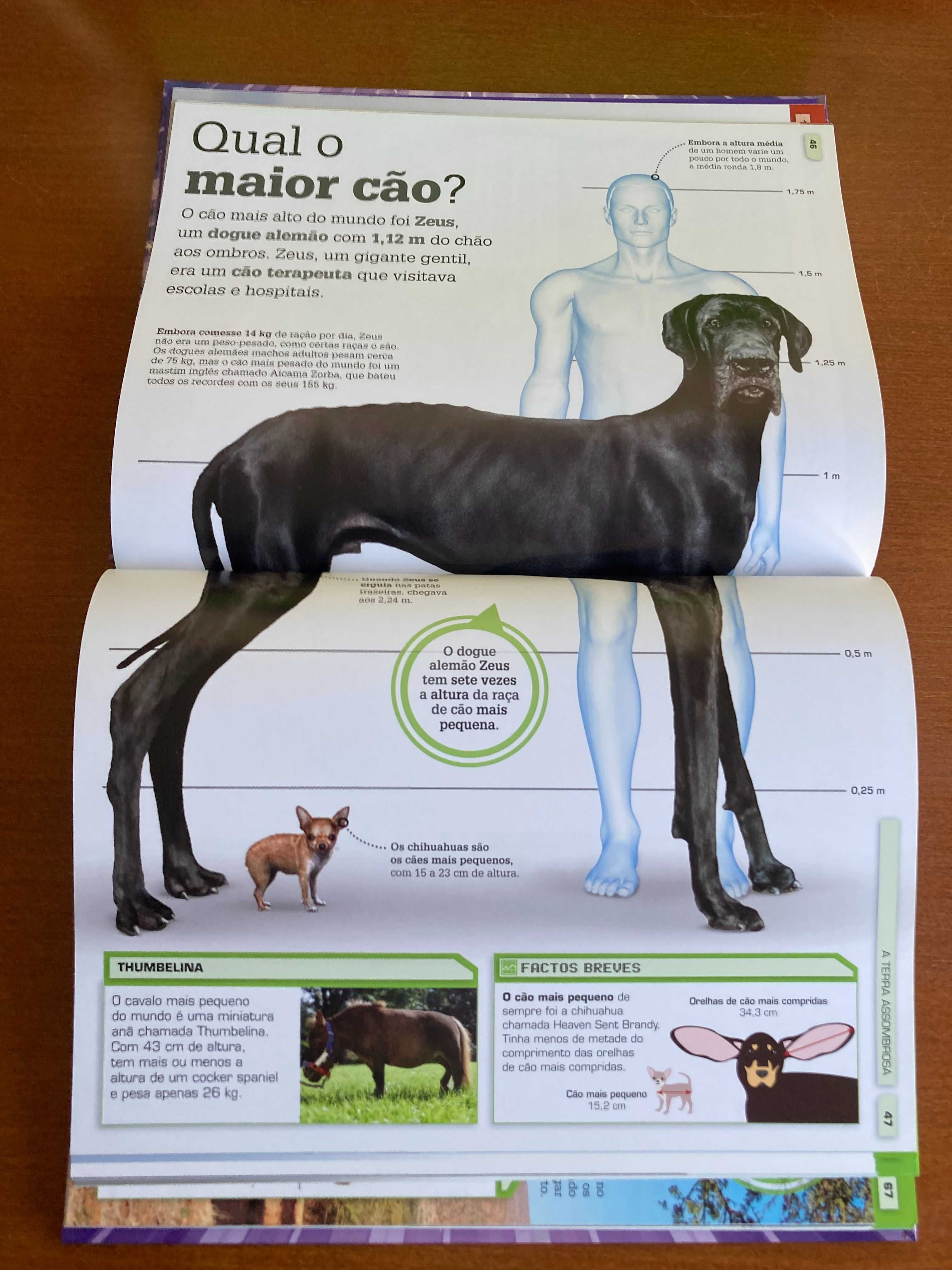 Não Pode Ser Verdade! N.º 2