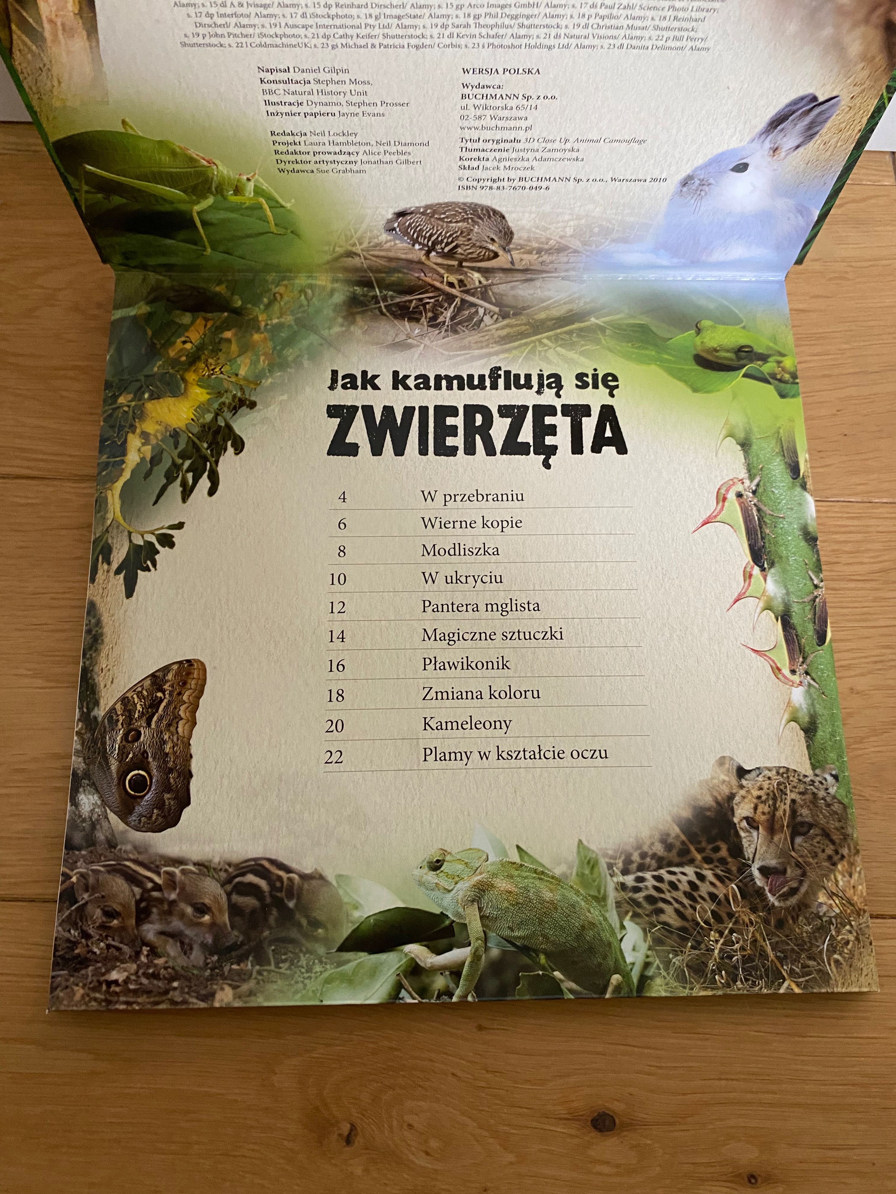 NOWA Jak kamuflują się zwierzęta rozkładanka 3D pop up Daniel Gilpin