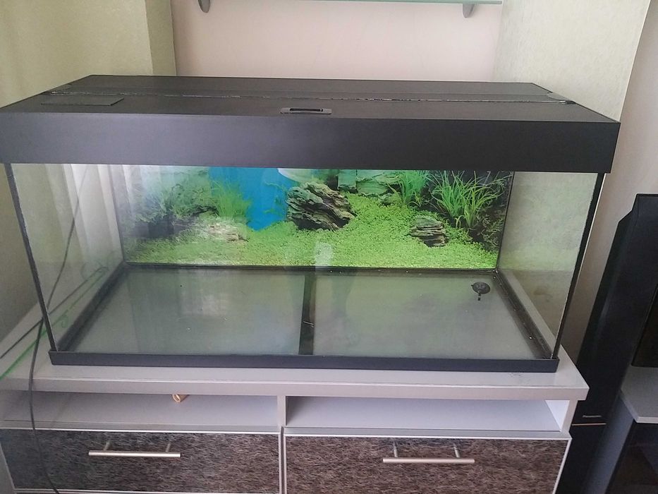 Акваріум Juwel 170л