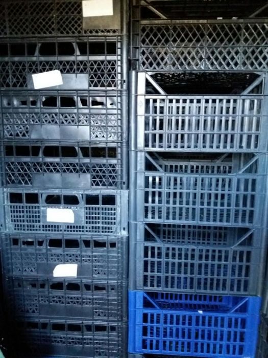 Ящики 200шт.,бананові ящики