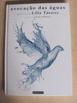 Evocação das águas de Lília Tavares