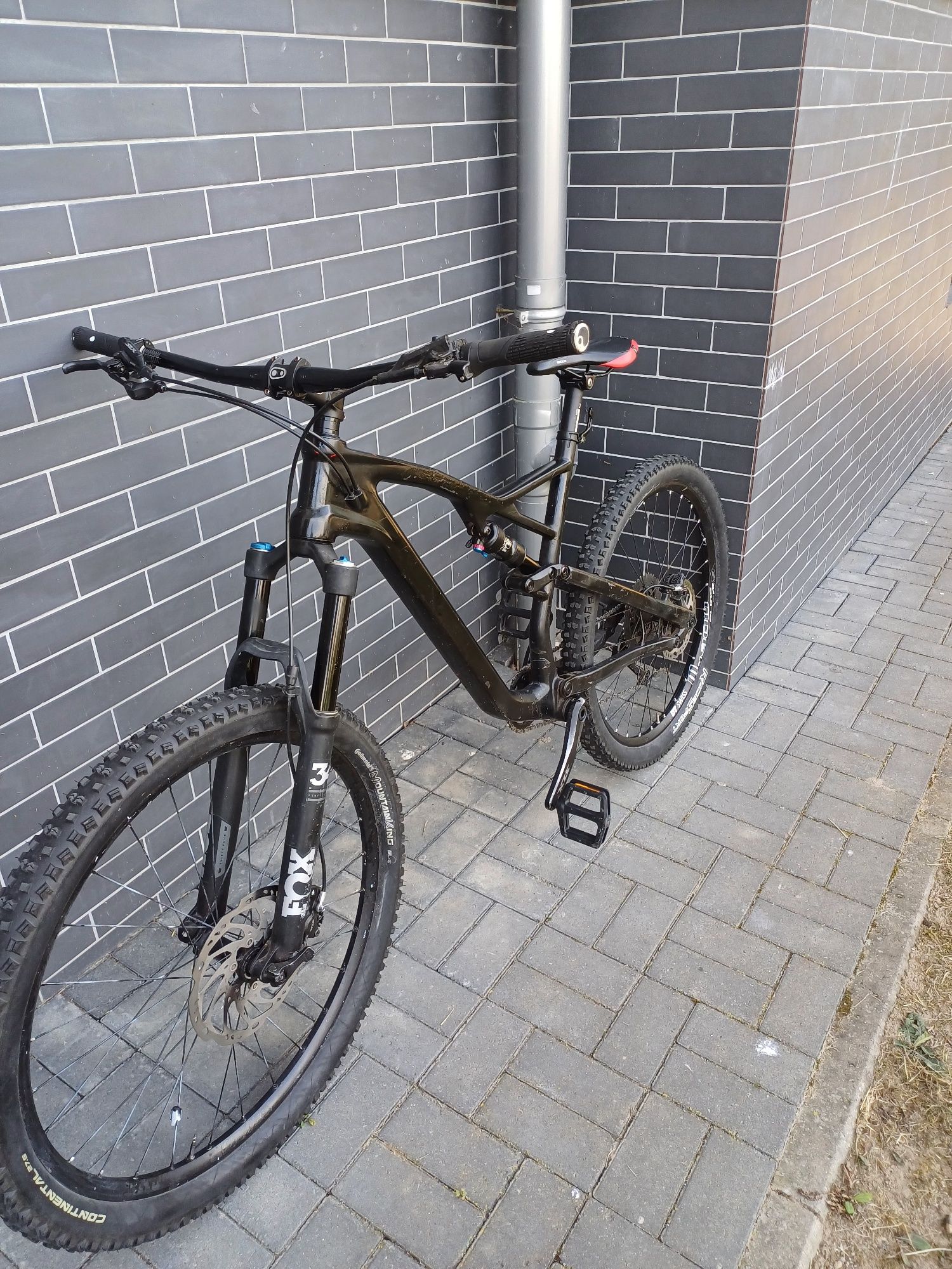 Rower Mtb Rotwild R.X2 2018 rama carbon