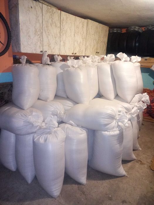 Pszenżyto ozime "BORWO" oczyszczone dla drobiu, gołębi, królików itp.