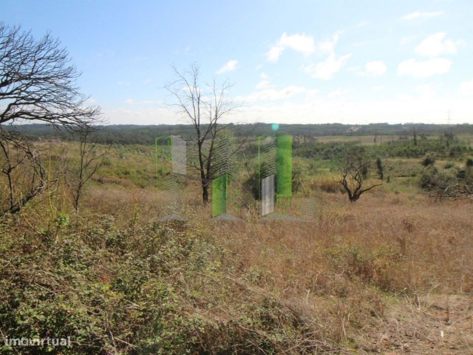 Venda terreno urbano Figueira da Foz