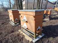 Ule pszczoły rodziny pszczele na sprzedaż