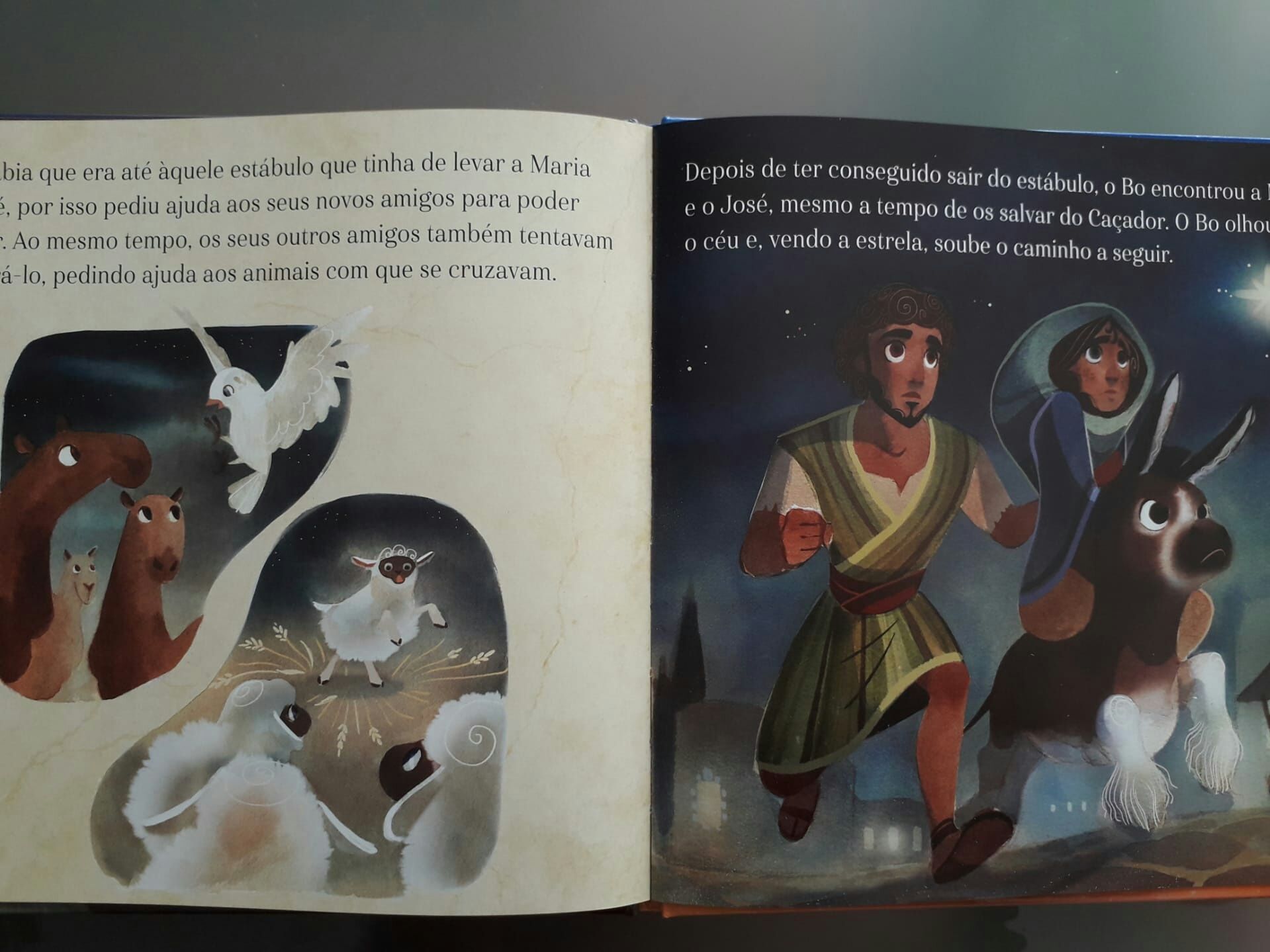 Livro " A Estrela de Natal - Eles Seguiram a Estrela "