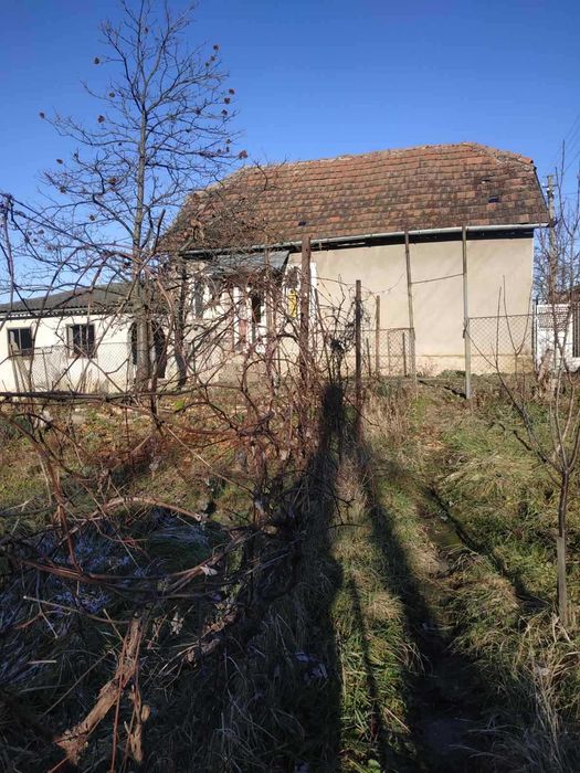 продам будинок Берегове неподалік