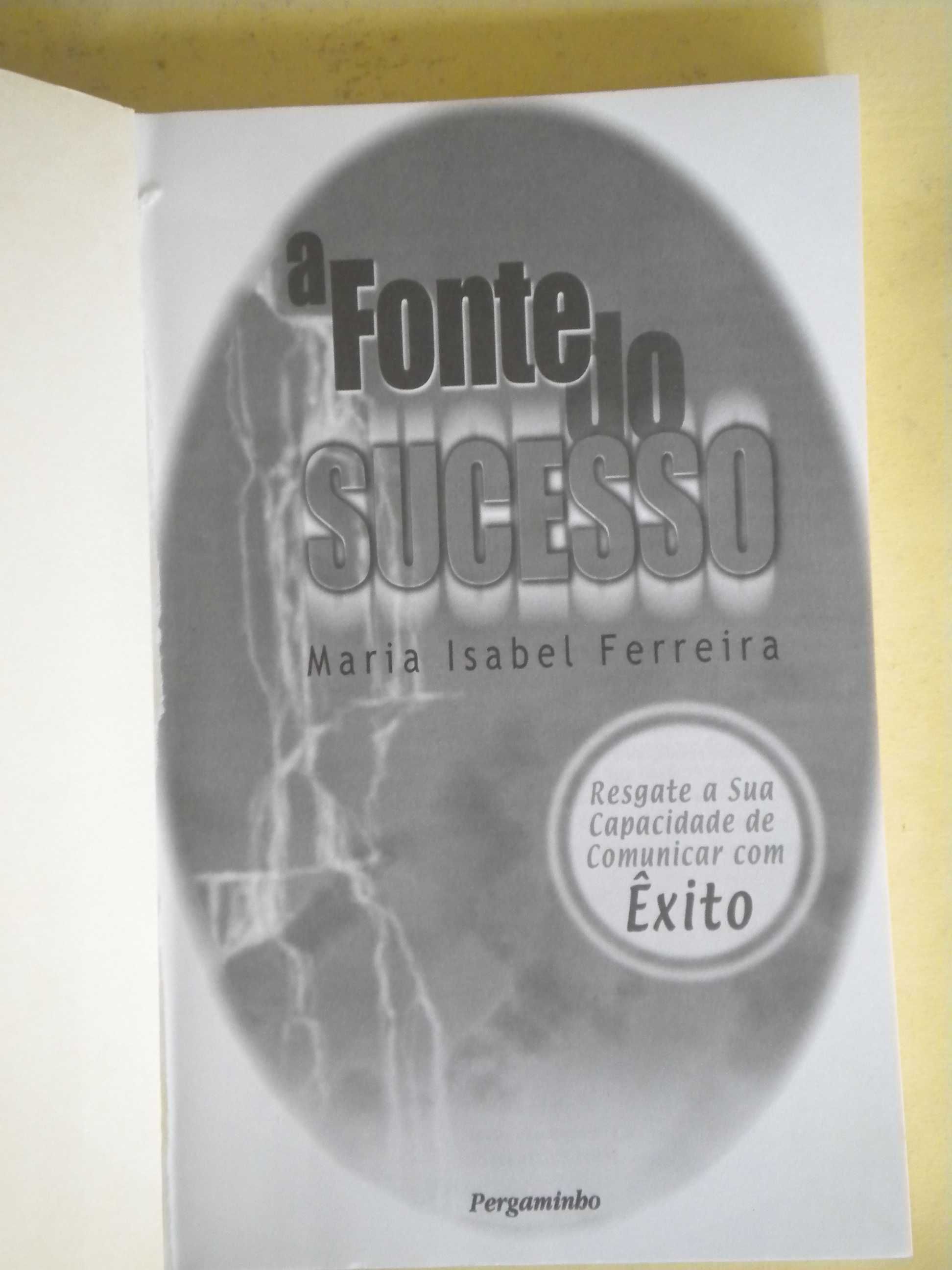 A Fonte do Sucesso
de Maria Isabel Ferreira