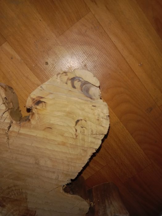 Слеб дерево состояние на фото