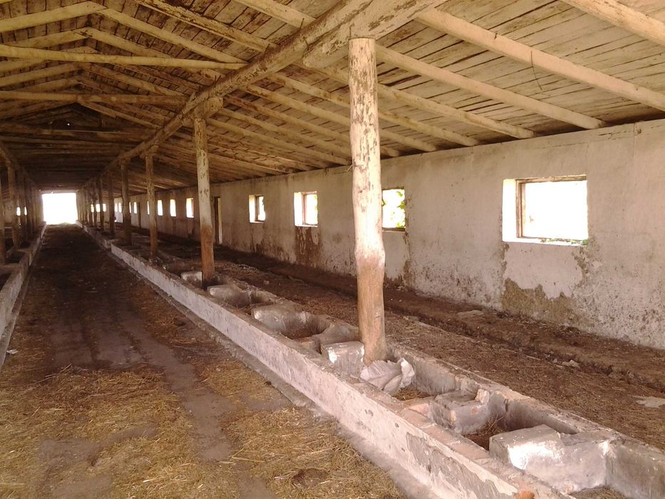 комерційна нерухомість