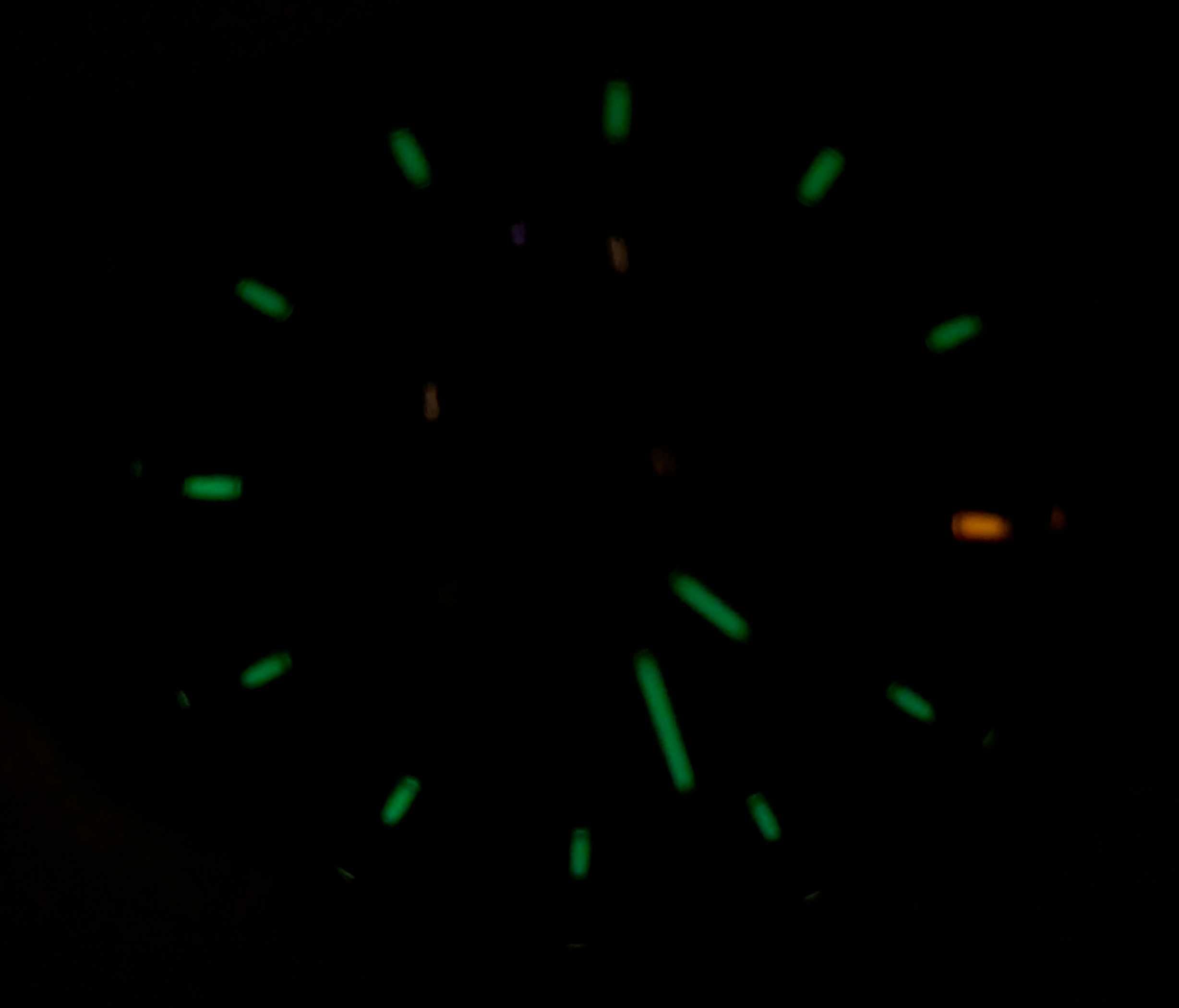 Чоловічий годинник Luminox Land A.1945 Alarm Tritium Sapphire 45mm 100