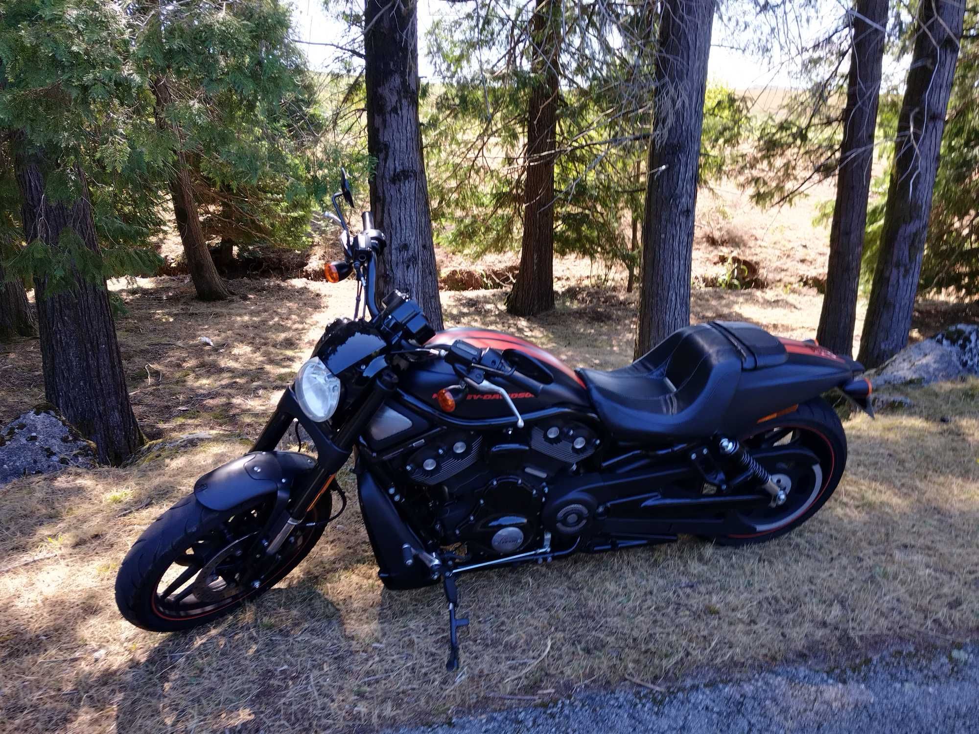 Harley Davidson Night Rod Special