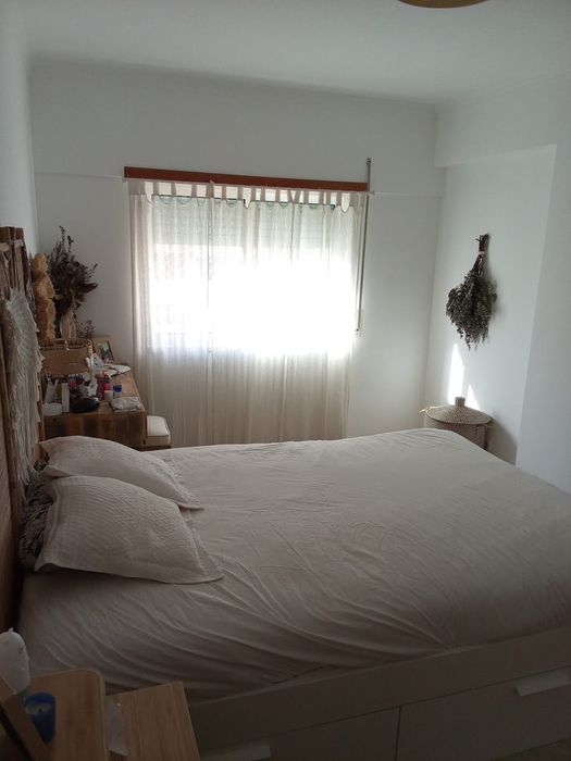 Alugo t2+1 são marcos