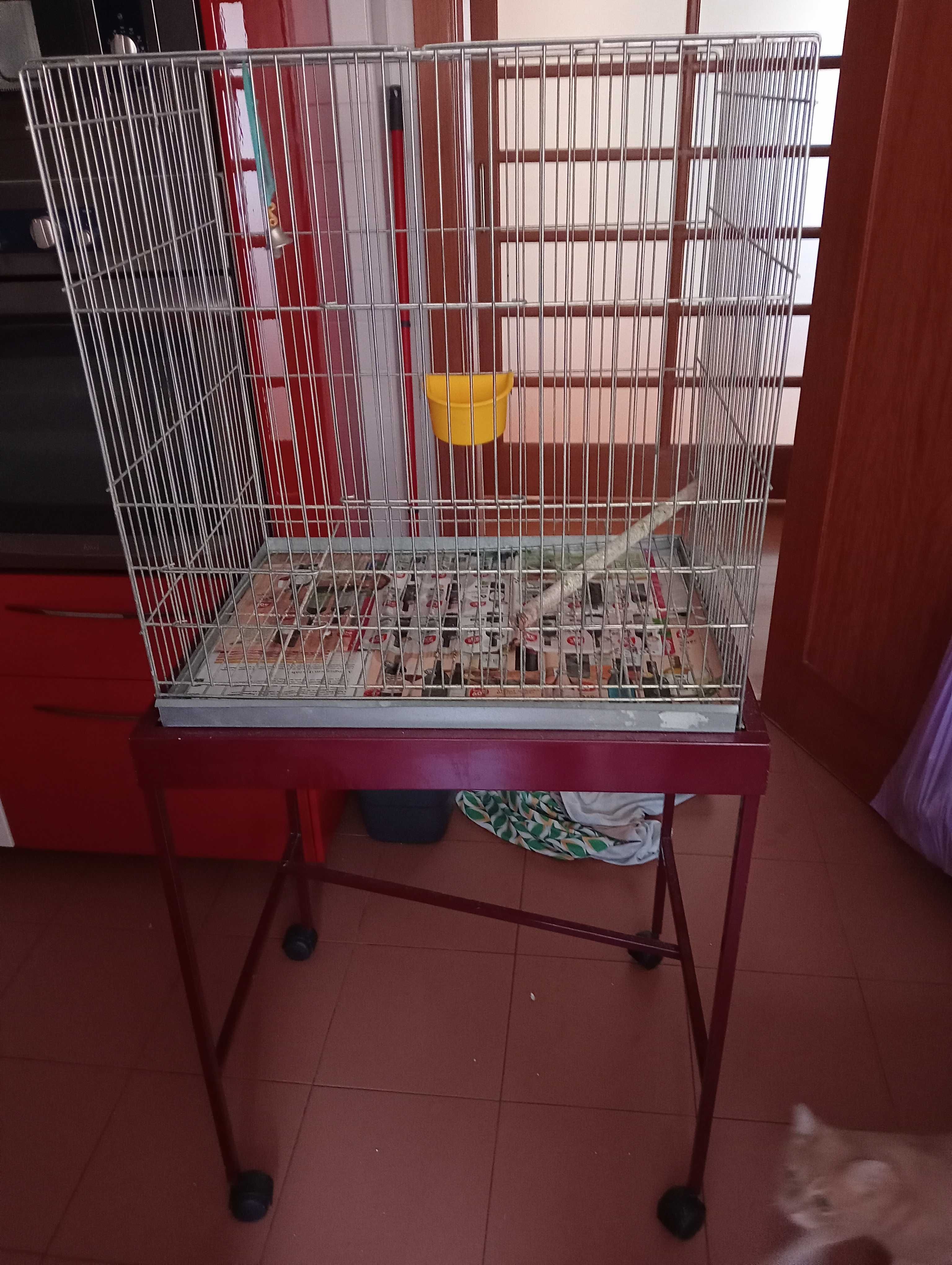 Vendo gaiola para pássaros