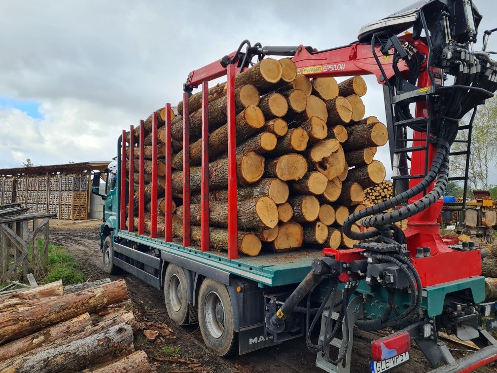 Kłoda dębowa Dąb S2B 250cm średnica 20cm i więcej