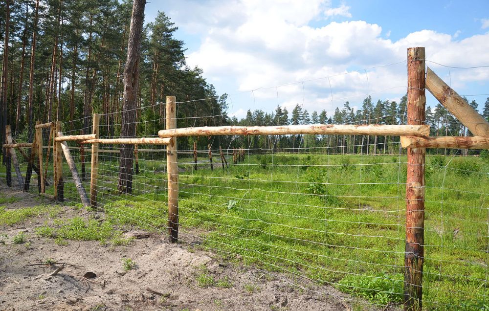 Siatka ogrodzeniowa Leśna 160/15/15 L Ogrodzenia + gratisy