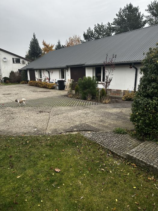 magazyn do wynajęcia