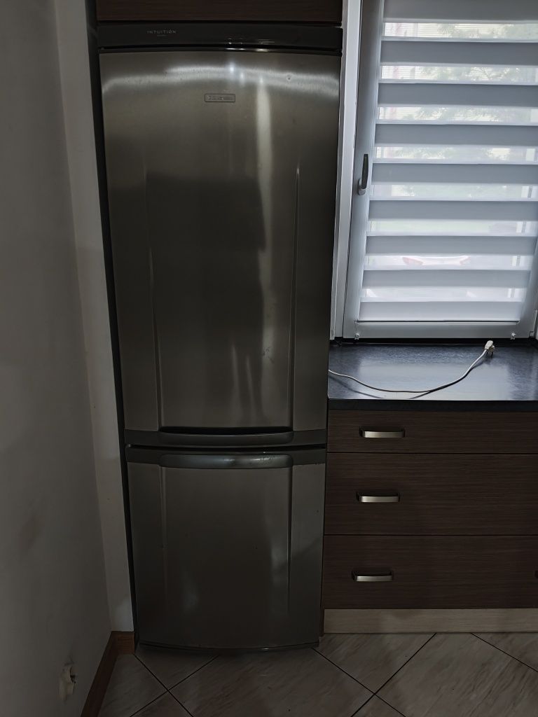 Lodówka Electrolux Intuition 185cm