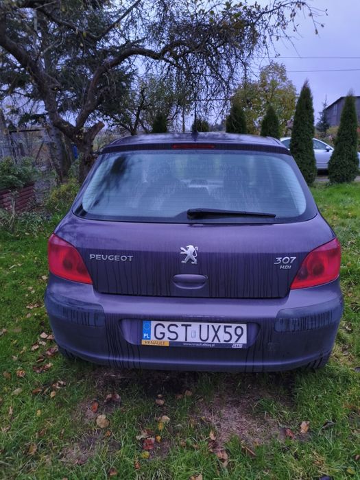 Peugeot 307 2.0 HDI 90KM