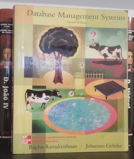 Database Management Systems - Raghu Ramakrishnan