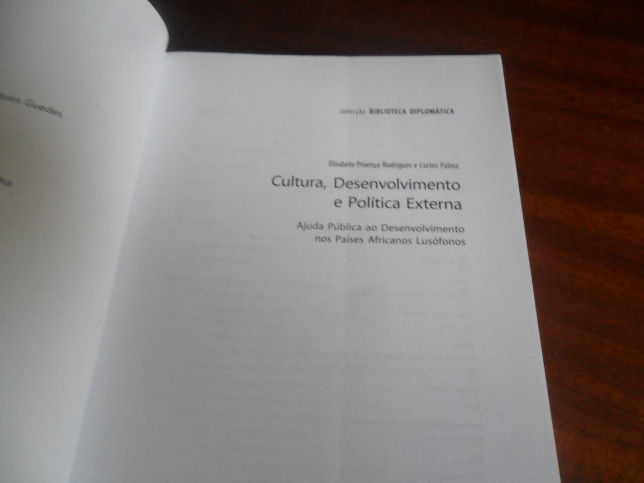"Cultura, Desenvolvimento e Política Externa" - Elisabete Cortes Palma