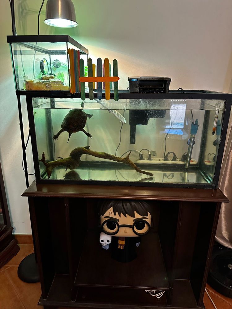 Aquario 100L + Movel + acessórios
