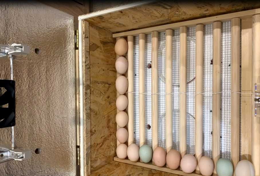 Inkubator klujnik  65/80 jaj Kury kaczki gęsi