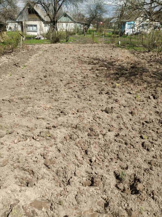 сад 5 массив  при вьезде цена договорная по телефону