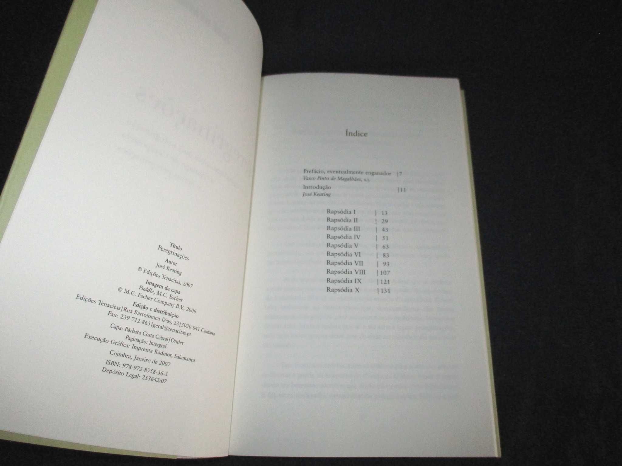 Livro Peregrinações José Keating Tenacitas