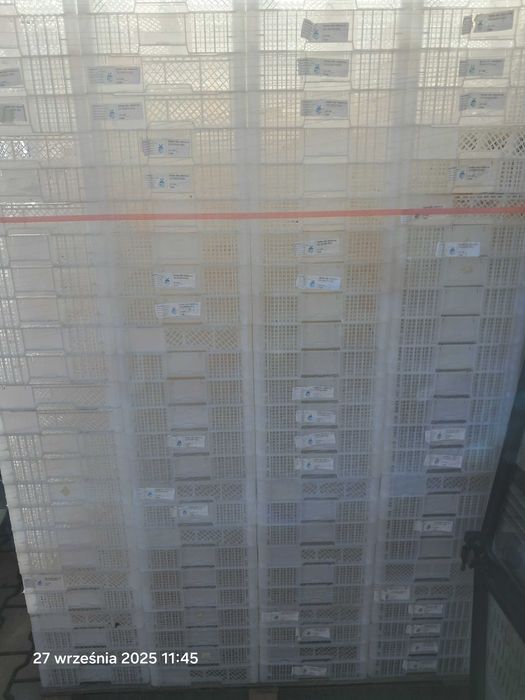 Sprzedam skrzynki plastikowe ażurowe