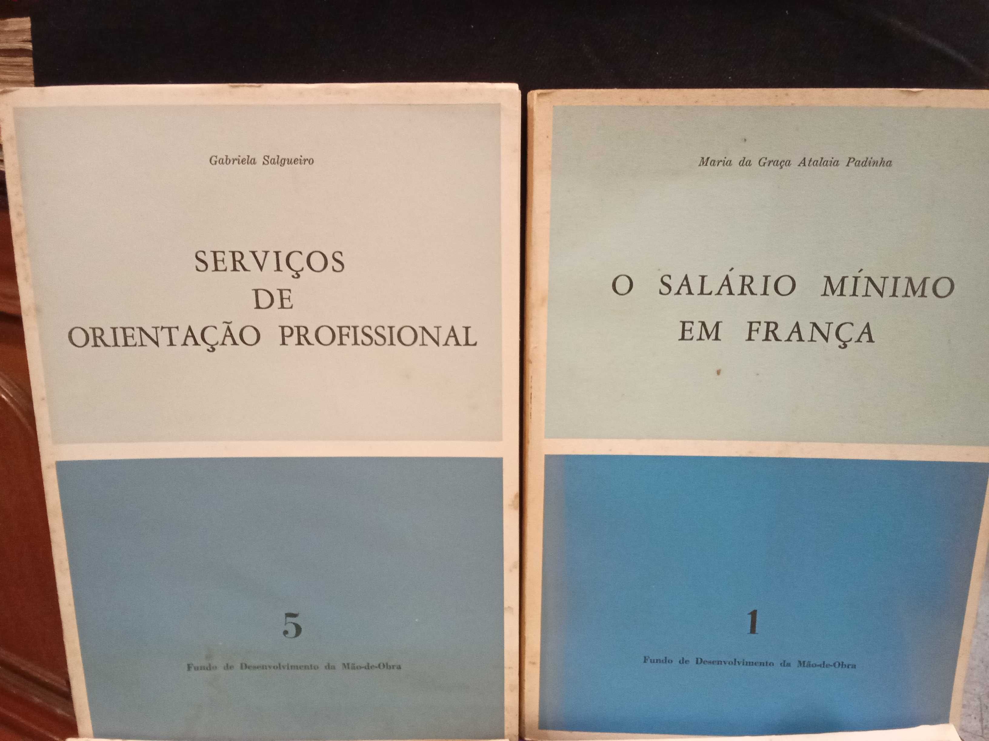 Fundo de Desenvolvimento de Mão-de-Obra (4 exemplares)