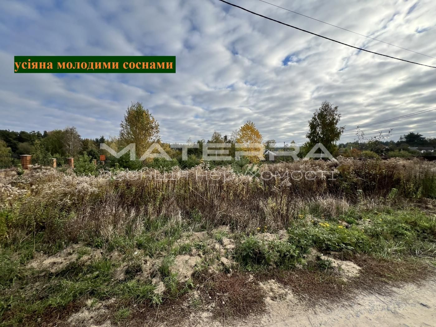 Малютянка-Глеваха продаж кутової ділянки 11 соток