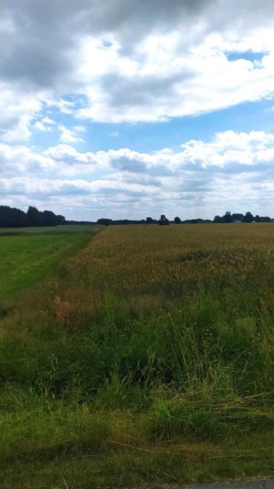 Siedlisko z gruntami ornymi