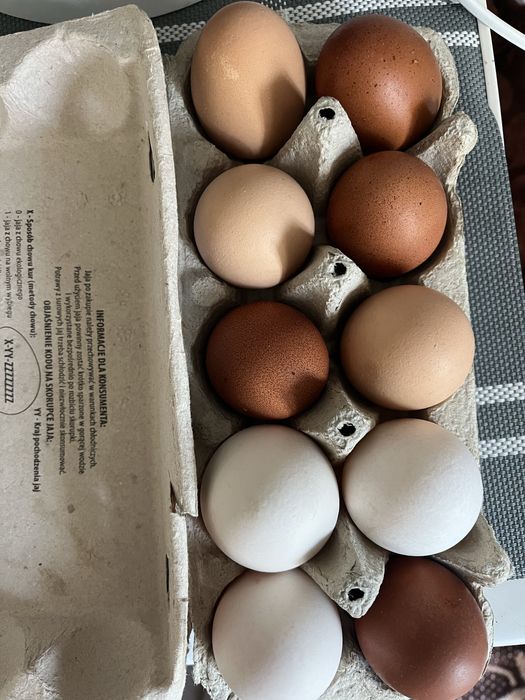 Jajka wiejskie od kur z wolnego wybiegu