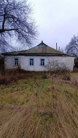 Добротний будинок в с. Кашубівка